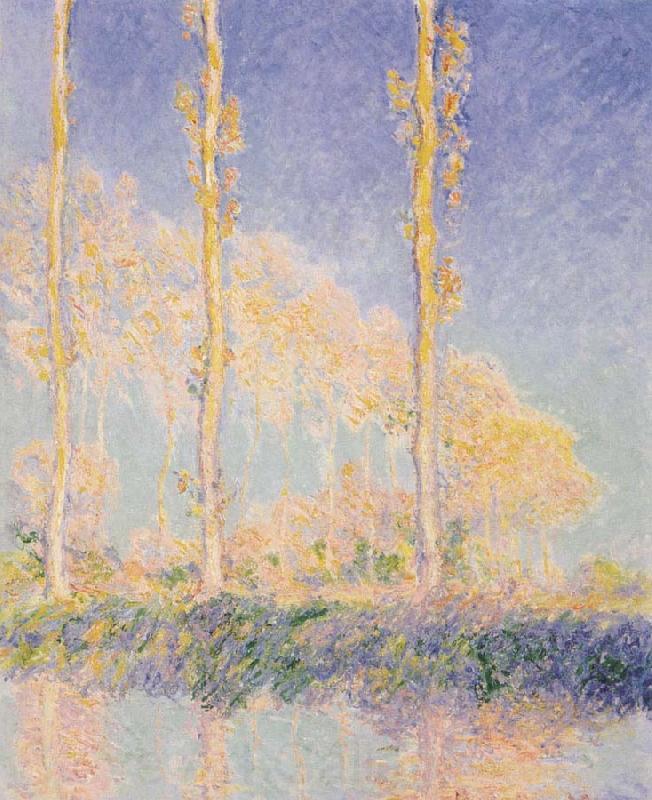 Claude Monet Three Poplars,Autumn Effect Spain oil painting art